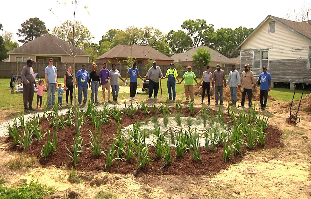 The Green Cohort Business Academy group stands around a community garden.